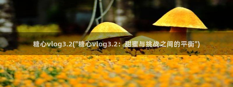 糖心vlog芒果回家