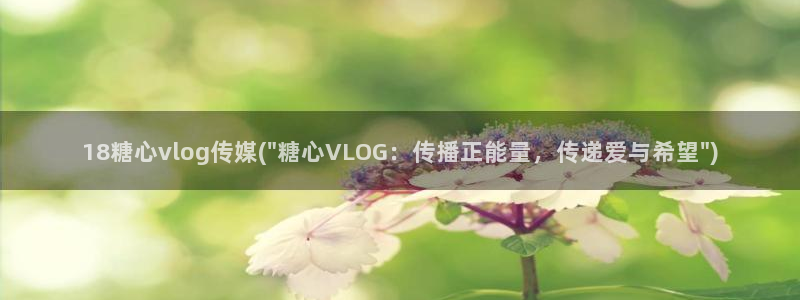 糖心vlog 地址：18糖心vlog传媒(\