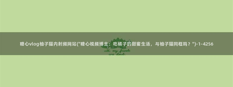 糖心vlog湖南：糖心vlog柚子猫内射频网站(\