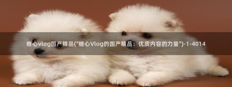 糖心vlog探花