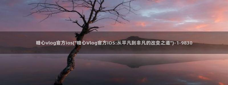 糖心视频vlog锅锅：糖心vlog官方ios(\