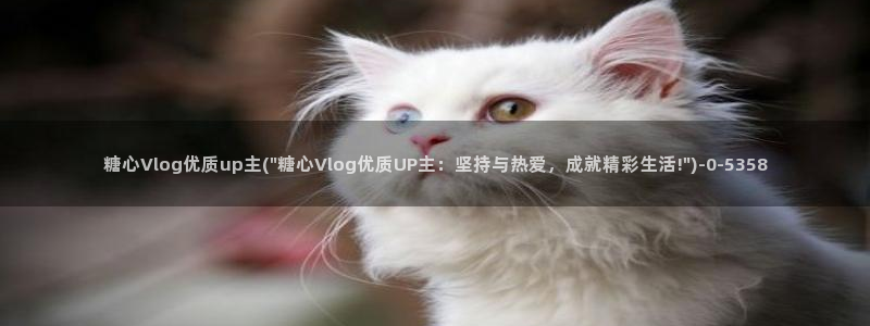糖心vlog传媒作品：糖心Vlog优质up主(\