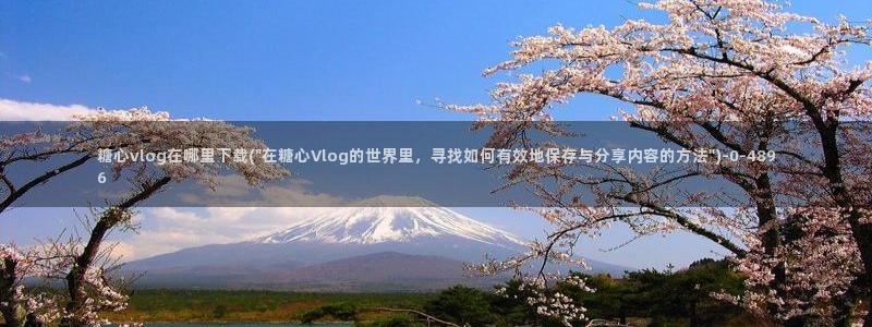 糖心的vlog：糖心vlog在哪里下载(\