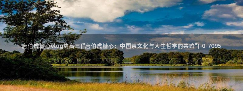 糖心官网vlog：唐伯虎糖心vlog约高三(\