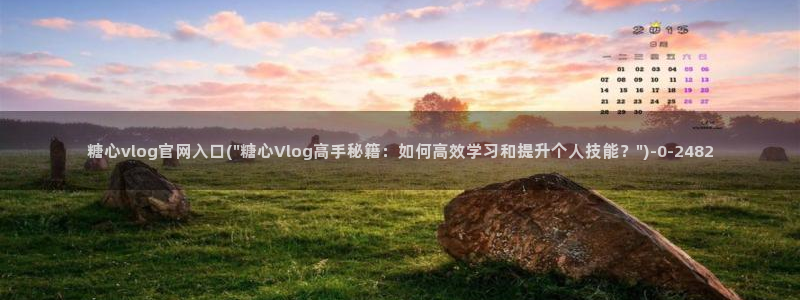 糖心vlog琪琪：糖心vlog官网入口(\