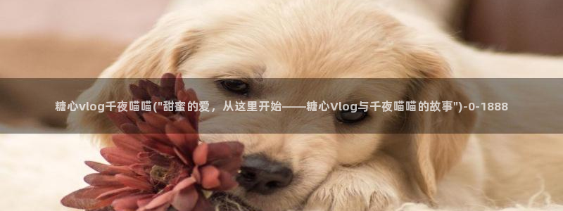 糖心.vlog：糖心vlog千夜喵喵(\