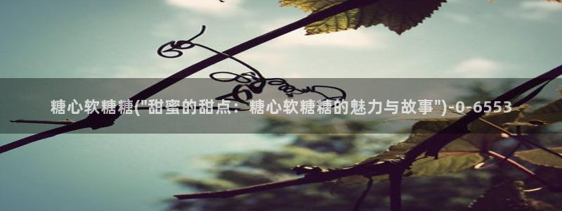 糖心vlog最新免费版内容：糖心软糖糖(\