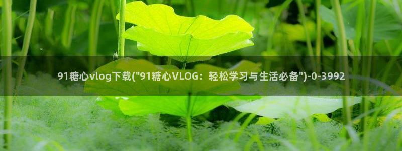 糖心vlog是什么：91糖心vlog下载(\