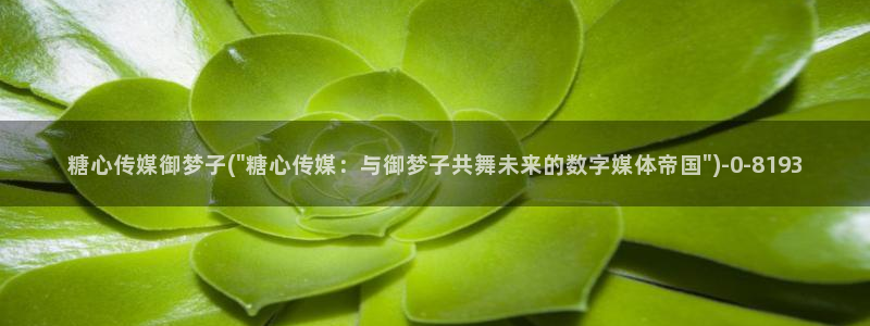 糖心国产传媒vlog：糖心传媒御梦子(\