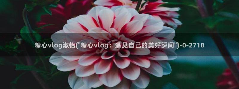 糖心vlog产精国品