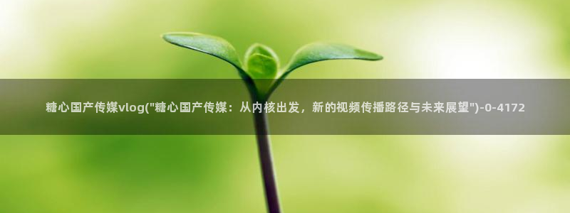 糖心vlog派大星