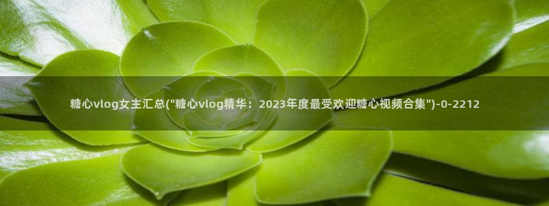 糖心txvlog.com：糖心vlog女主汇总(