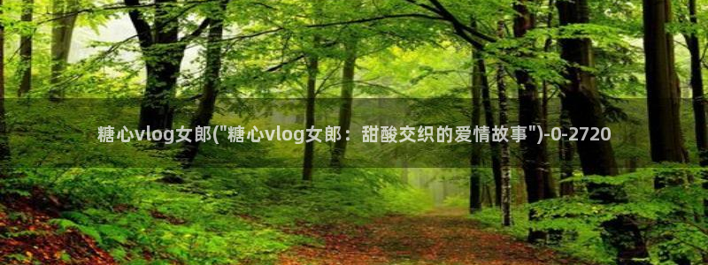 糖心vlog51