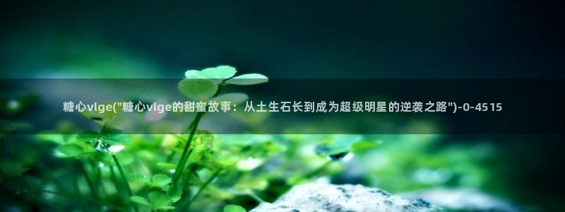 糖心vlog下载官网