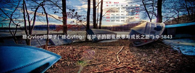 糖心vlog女：糖心vlog御梦子(\